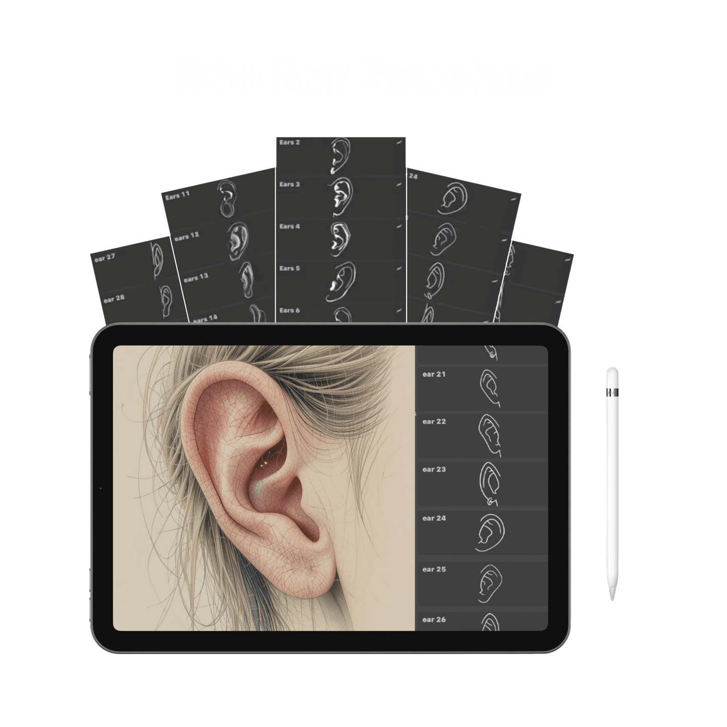 Portrait BrushSet Bundle